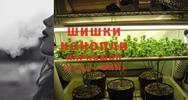крисы Балахна